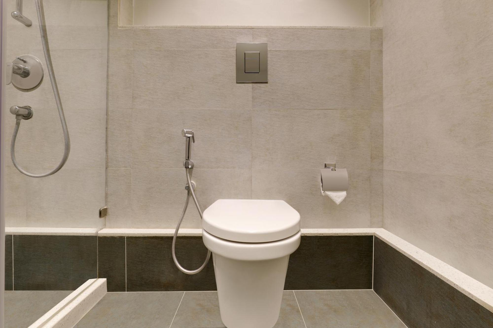 Lemon Tree Hotel, Hubli Bilik gambar